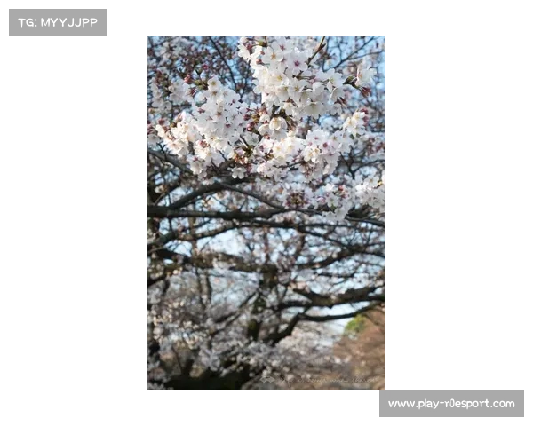 崔炳光第六次征战东京世锦赛 竞走之路见证坚韧与突破